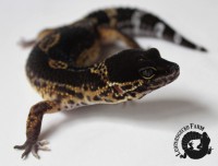 /album/fotogalerie-startseite/img-2682-jpg/